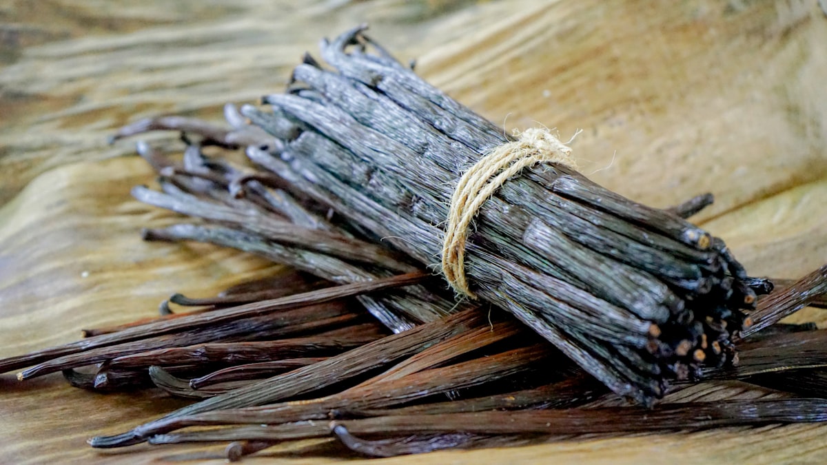 Vanilla Planifolia